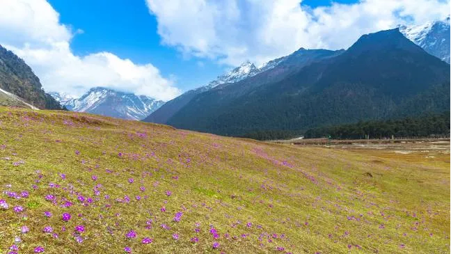 The Yumthang Valle